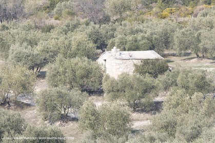 16 02 2008 - Les Baux de Provence (FRA, 13) - Paysages des Alpilles