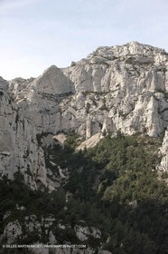 25 03 2009 - Marseille (FRA, 13) - Les Calanques - Massif de Marseilleveyre