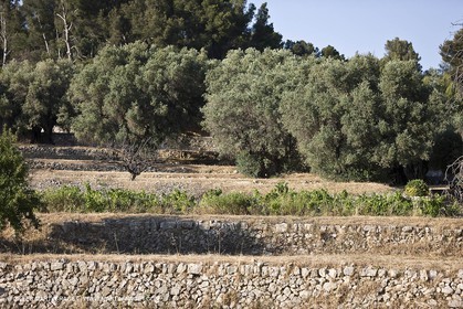 26 06 09 - Sanary sur mer (FRA,83)