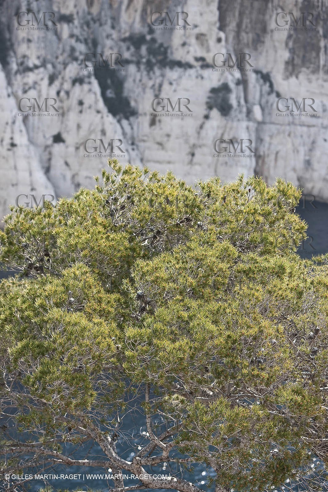 20 03 2009 - Marseille (FRA, 13) - Les Calanques - Calanque de l'Oule
