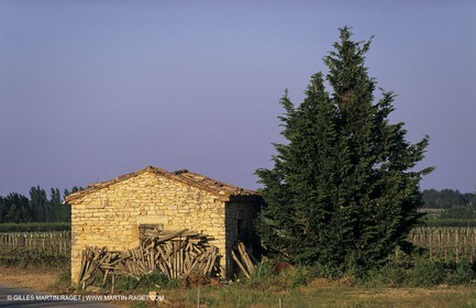 Paysages de Nîmes Métropole (FRA,30) - Les costières