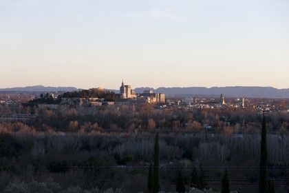 2012, Avignon (FRA,84), Palais des Papes, Pont Saint Beneze