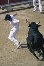 France, Provence, Camargue, course libre, bull games