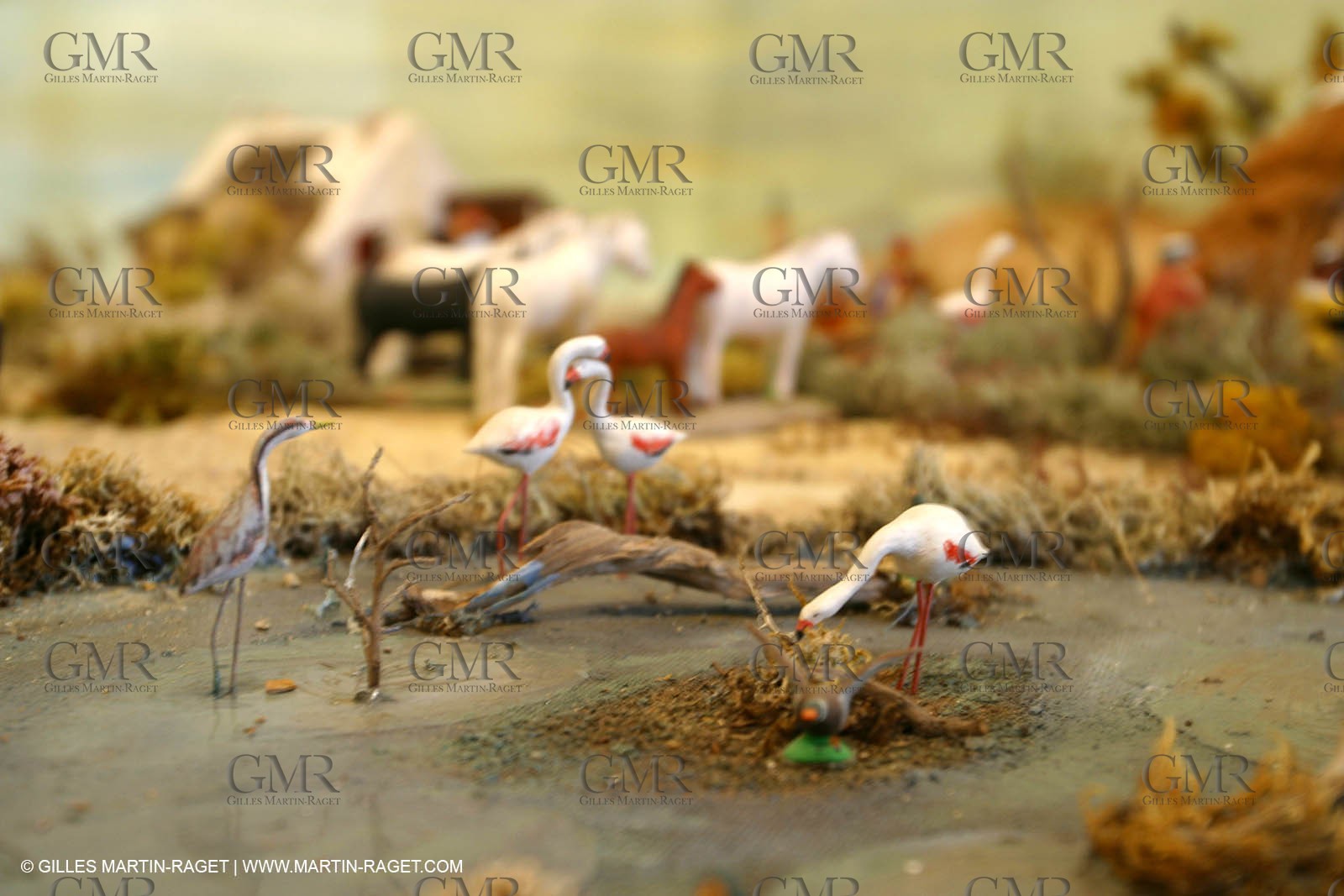 Great crib from les Saintes Maries de la mer (FRA, 13) for Christmas, December 2010