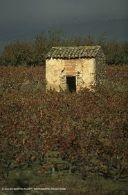 Luberon (FRA,84), Fall colors