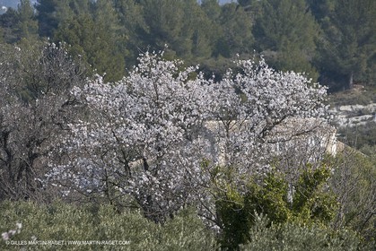 16 02 2008 - Les Baux de Provence (FRA, 13) - Alpilles hills landscapes