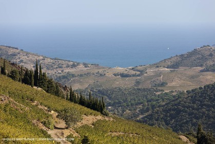 17 10 2011 - Vermeille Coast (FRA, 66) - Corbières Vineyards
