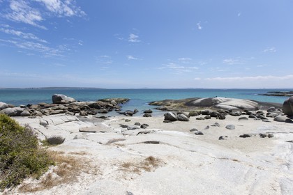 10 11 2014, Capetown (ZAF), Volvo Ocean Race 2014-15, Team Alvimedica