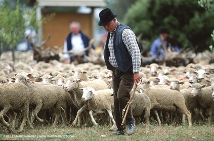 Saint Rémy de Provence (FRA,13) - Fête de la Transhumance