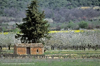 France, Provence, Paysages du Luberon, Luberon Landscapes