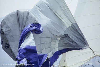 Sailing, Yacht racing, Corporate Racing, Spi Dauphine