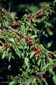 Vaucluse (FRA,84), Les villages du Luberon