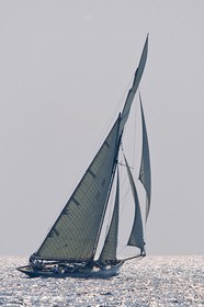 Moonbeam of Fife