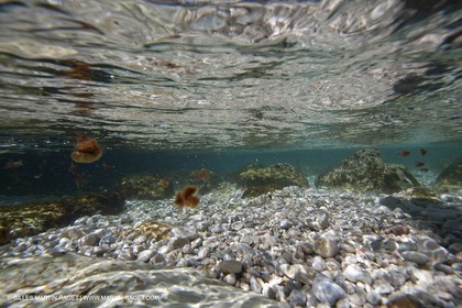 26 03 2009 - Marseille (FRA, 13) - Les Calanques - Sugiton