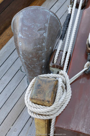 29 03 2019, Barcelona (Spain), Marigold