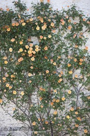 28 04 2009 - Dions (FRA, 30) - Atlas Nîmes Métropole - campagne 2009