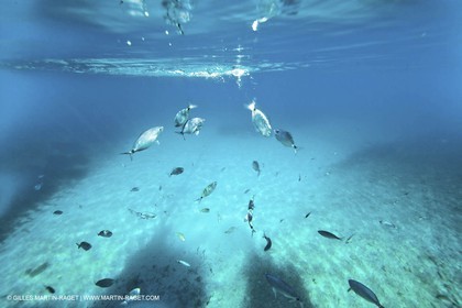 07 05 2009 - Marseille (FRA, 13) - Les Calanques - En Vau