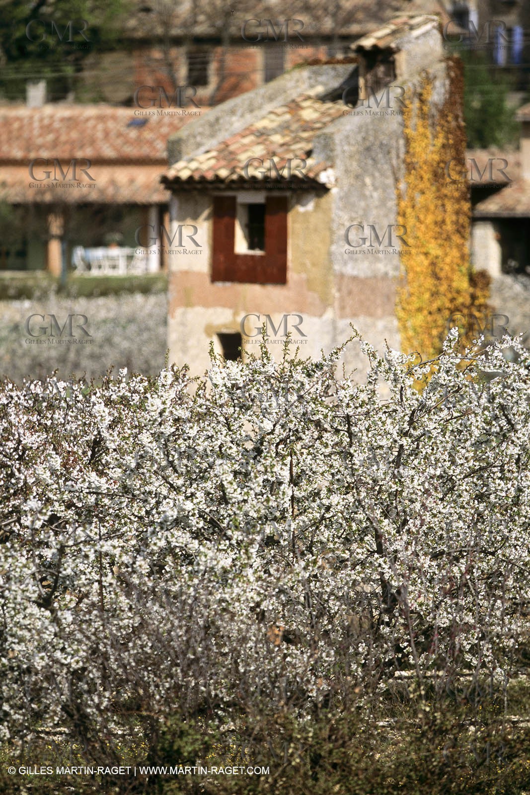 Luberon in winter near Saint Satrunin les Apt (FRA,84)