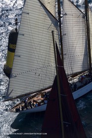 03 10 2006 - Saint Tropez (Fr) - Voiles de Saint Tropez 2006 - Altaïr