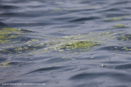 15 08 2008 - Qingdao (CHN) - Jeux Olympiques 2008 - Jour 7