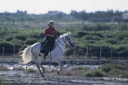 France, Provence, Camargue, Gardians de Camargue, métier, fêtes, élevage, tri