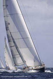 Sailing, Yacht Racing, Antigua Sailing Week