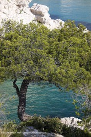 20 06 2008 - Marseille (FRA,13) - Croisière das les îles et les calanques - Sormiou
