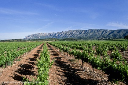 Aix en Provence area (Fra,13) - Sainte Victoire Mountain