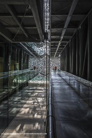Mucflot_2096