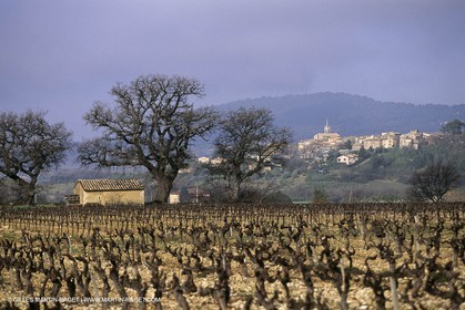 Luberon en hiver vers Saint Saturnin les Apts (FRA,84)
