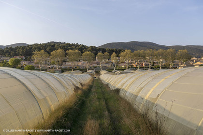19 04 2018, Vaugines (FRA,84)