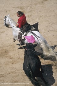 France, Provence, Traditions, Tauromachie, bull fights