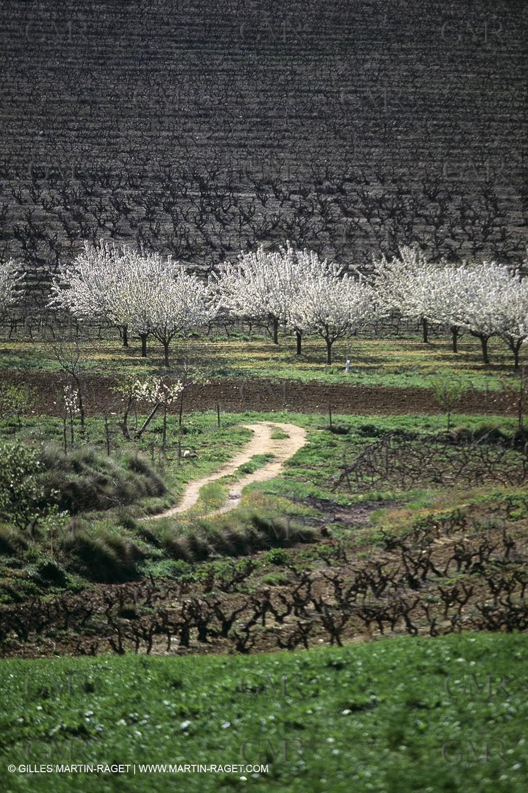 Luberon in winter near Saint Satrunin les Apt (FRA,84)