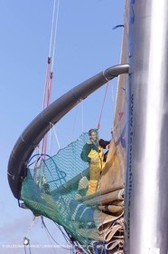 The Race - Team Phillips