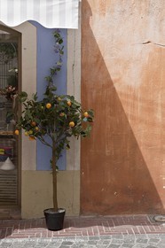 22 07 2009 - Sanary sur mer (FRA,83)