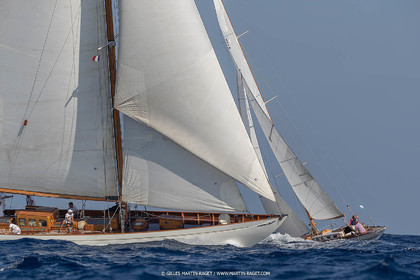 VST21D6_1372.jpg
