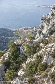 10 09 2009 - Marseille (FRA, 13) - Les Calanques - Massif de Marseilleveyre - Cabanons de la calanque de Marseilleveyre
