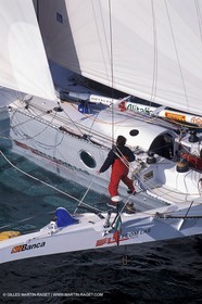 RhuMulti10.jpg
