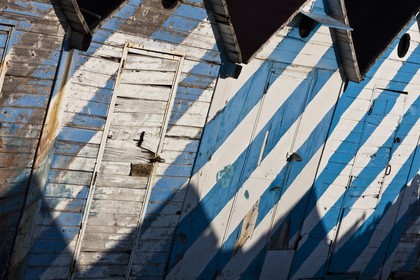 24 02 2012 - Napoli (ITA) - 34th America's Cup - America's Cup World Series Naples 2012 - As seen in Napoli