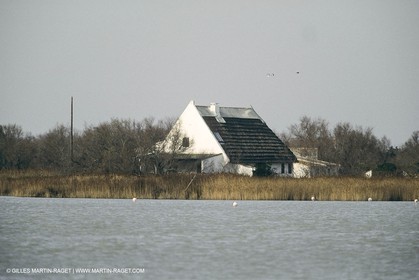 France, Provence, Camargue, Cabane de gardian, Gardian quant