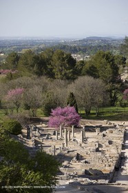 12 04 2008 - Saint Rémy de Provence - (FRA,13) - Le Midi de Van Gogh - site archéologique romain de Glanum