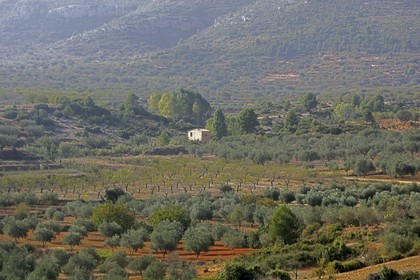 Arrière pays de Valencia- environs de Chera