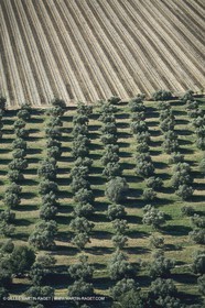 France, Provence, Etang de Berre