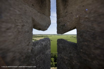04 05 2008 - Arles (FRA,13) - Abbaye de Montmajour
