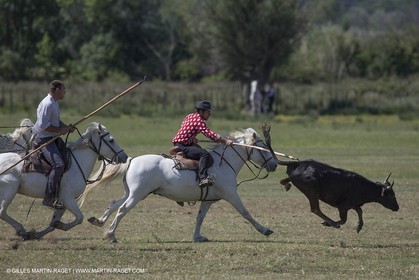 Course de Satin 2014 - Arles (FRA,13) - 1 06 2014**The satin race - Arles (FRA,13) - 01 06 2014
