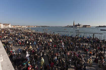 VNZFEBD3_0493.jpg