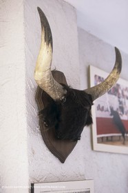 France, Provence, Camargue, Mas traditionnel de Camargue
