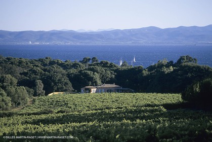 Vin, Vigne , Vendanges, vignification, vignobles, France, Provence, Côte du Rhône, Rosé