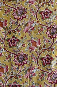 30 06 2011 - Toulon (FRA,83) - Villa Rosemaine - Exposition Indiennes sublimes