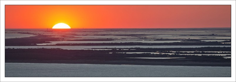 Camargue